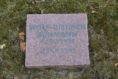 Image 696420258