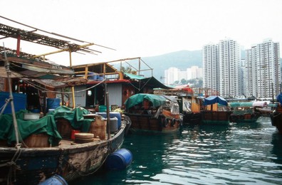 Image 698076741