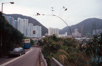 Image 698076837