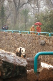 Image 698081510