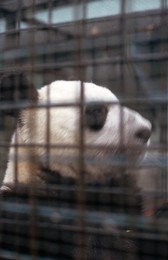 Image 698081583