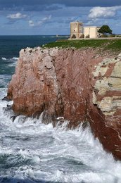 Image 698089560
