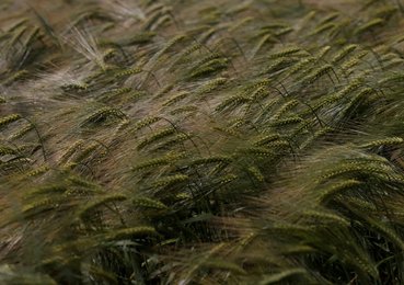 Image 698385149