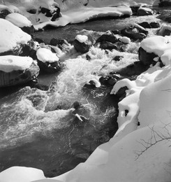 Image 698418563