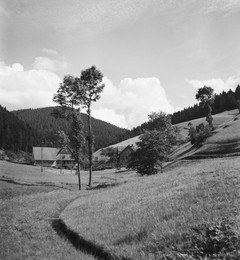 Image 698446388