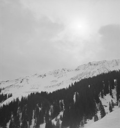 Image 698457275