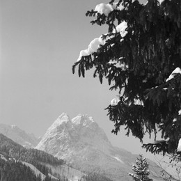 Image 698458592