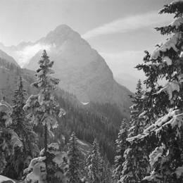 Image 698458841