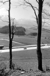 Image 698706046