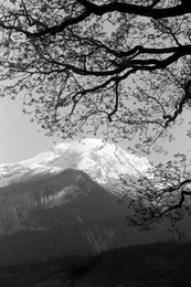 Image 698706772