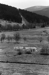 Image 698709584