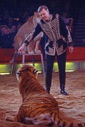 Image 699624210