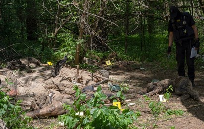 Image 699628433