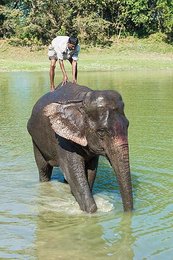 Image 703359709