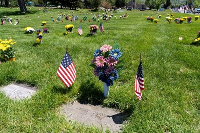 Image 703544781