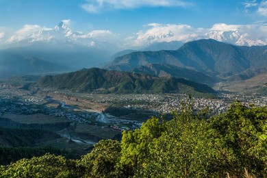 Image 703561602