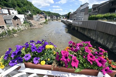 Image 704009372