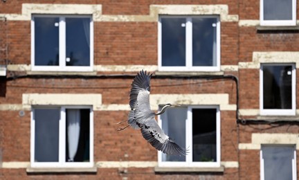 Image 704011489