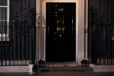 Image 705273562