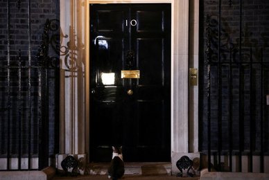 Image 705278750