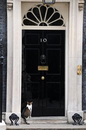 Image 706758606