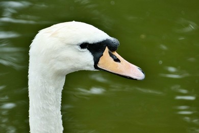 Image 708892157