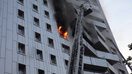 Image 711866722