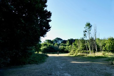 Image 712423625