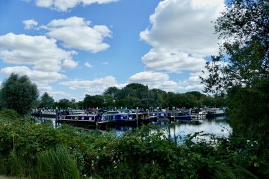Image 712424446