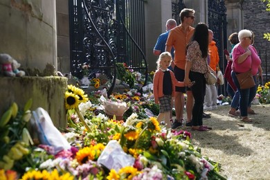 Image 722013631
