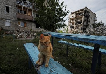 Image 723613709
