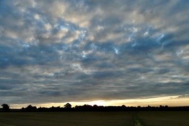 Image 723689343