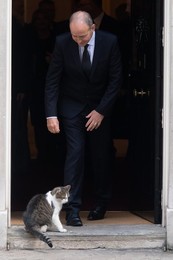 Image 723812687