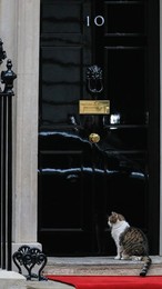 Image 724022400