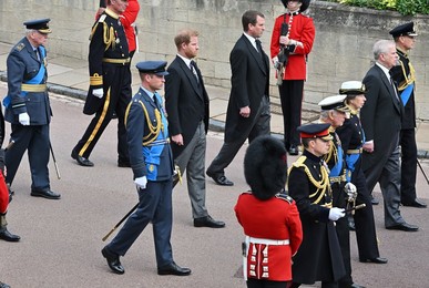 Image 724284989