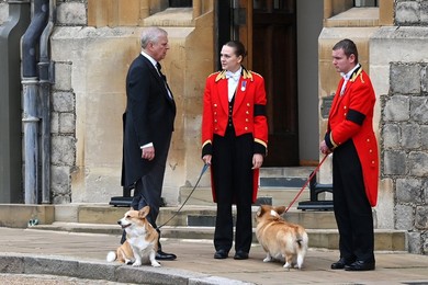 Image 724335625