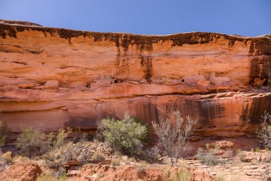 Image 724873830