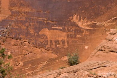 Image 724882695