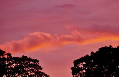 Image 725199055