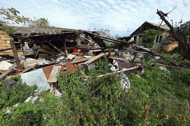 Image 726298549
