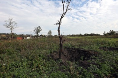 Image 726298562