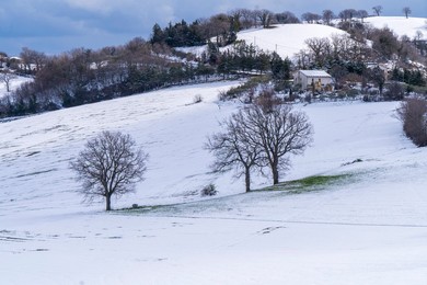 Winter Landscape, Fiegni, Fiastra, Marche, Italy, Europe