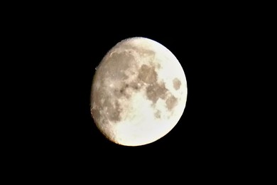 Image 728895571