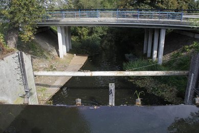Image 730053492