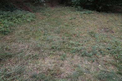 Image 730054083