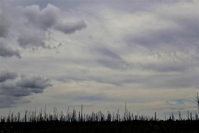 Image 730059131