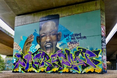Image 730639999
