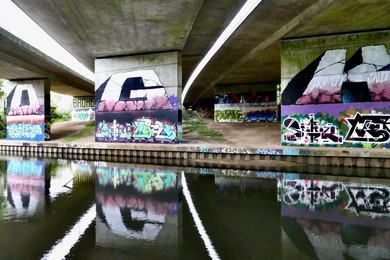 Image 730648162