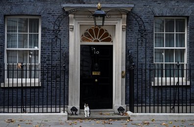 Image 731833668