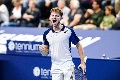ANTWERP TENNIS EUROPEAN OPEN ROUND OF 16 GOFFIN VS SCHWARTZMAN